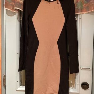 Elegant Black and Tan Dress